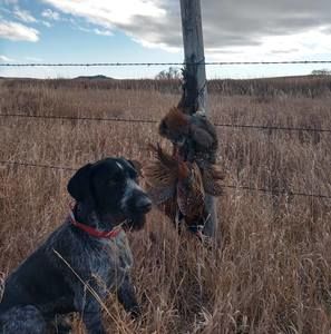 Meet your Posher, Dean
